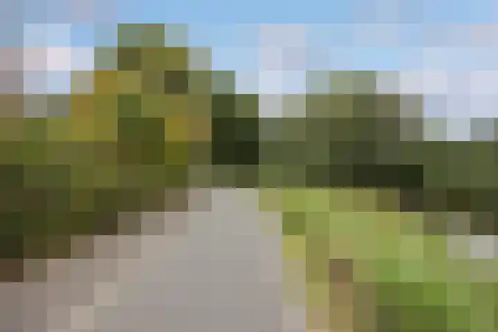 Begijnhove 7 Leusden thumbnail 32