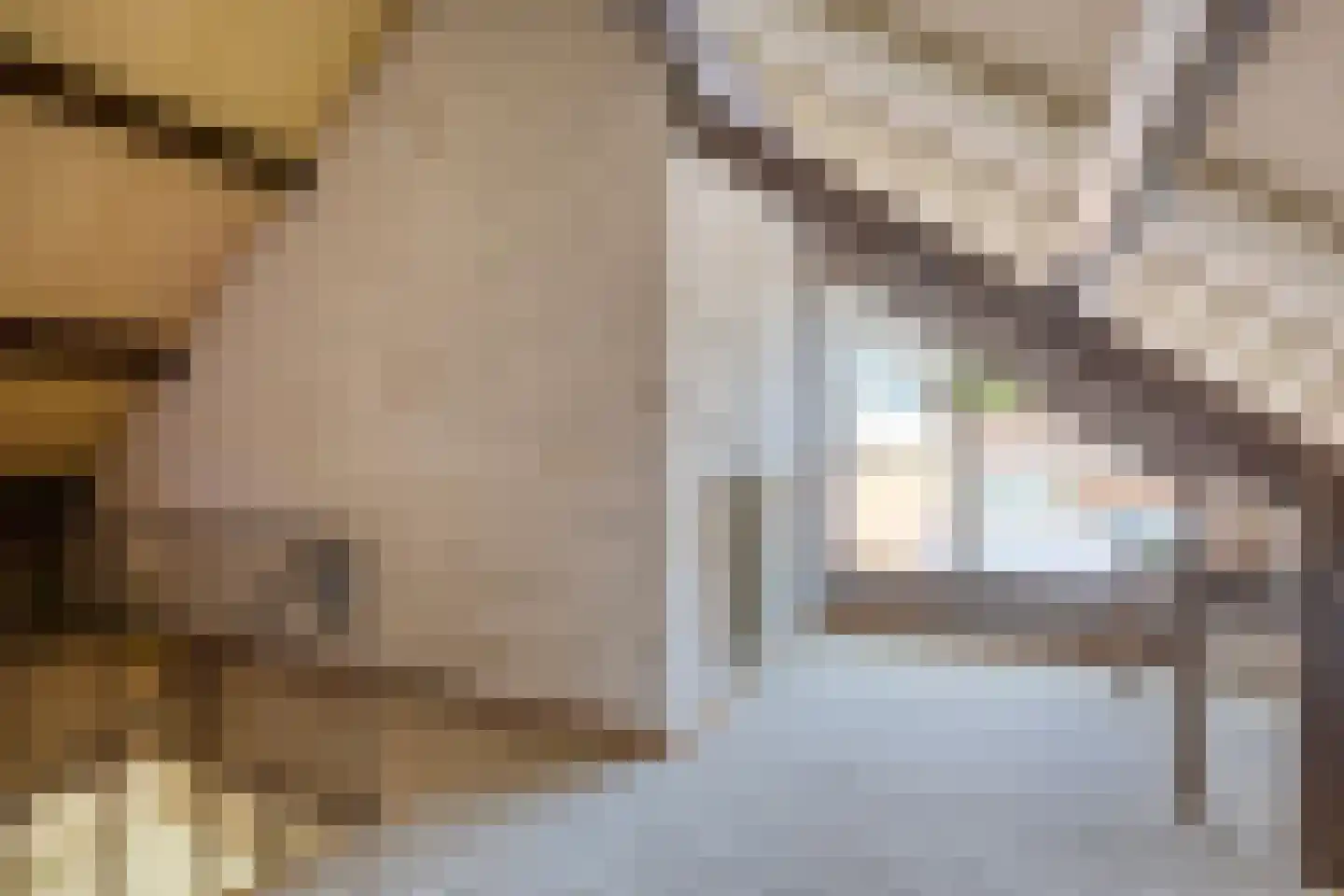 Begijnstraat 16 Veldhoven thumbnail 14