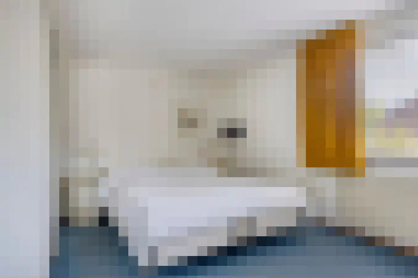 Begijnstraat 16 Veldhoven thumbnail 17