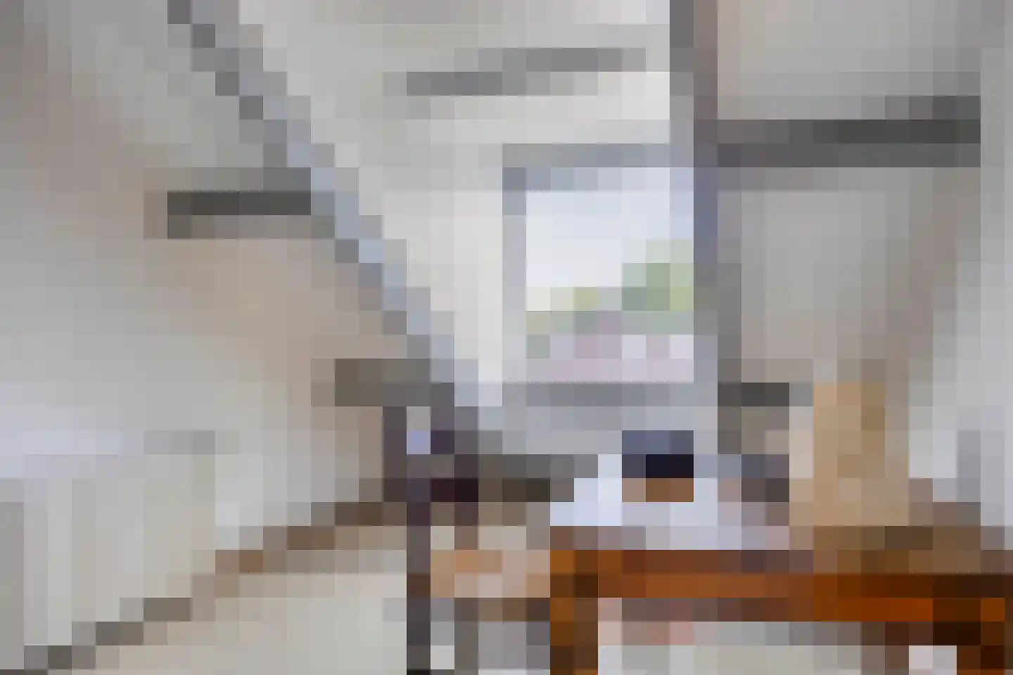 Begijnstraat 16 Veldhoven thumbnail 21