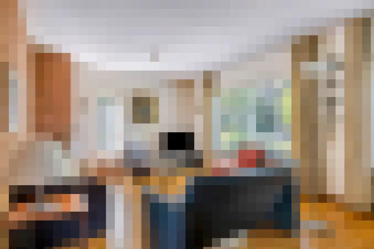 Begijnstraat 16 Veldhoven thumbnail 4