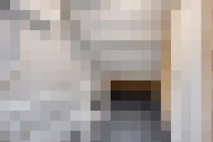 Begijnstraat 21 Veldhoven thumbnail 24