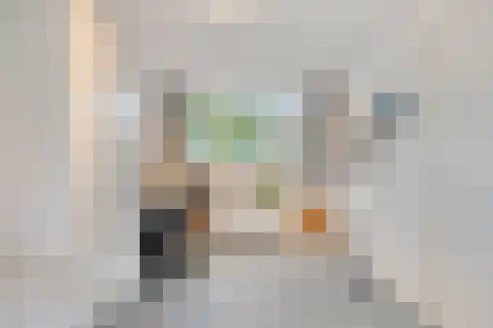 Begijnstraat 21 Veldhoven thumbnail 25