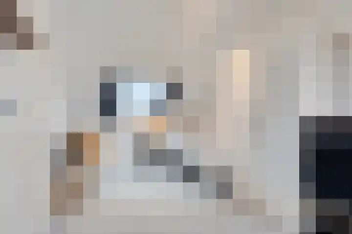 Begijnstraat 21 Veldhoven thumbnail 26