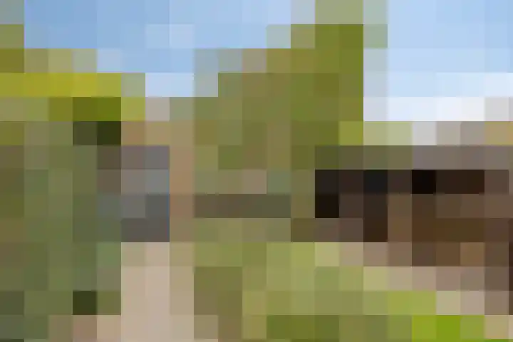 Begijnstraat 21 Veldhoven thumbnail 27
