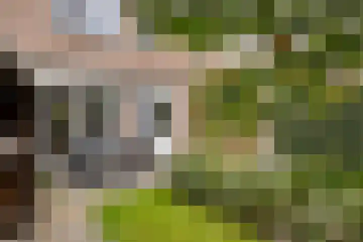 Begijnstraat 21 Veldhoven thumbnail 29
