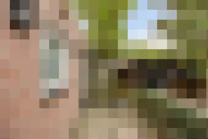 Begijnstraat 21 Veldhoven thumbnail 30