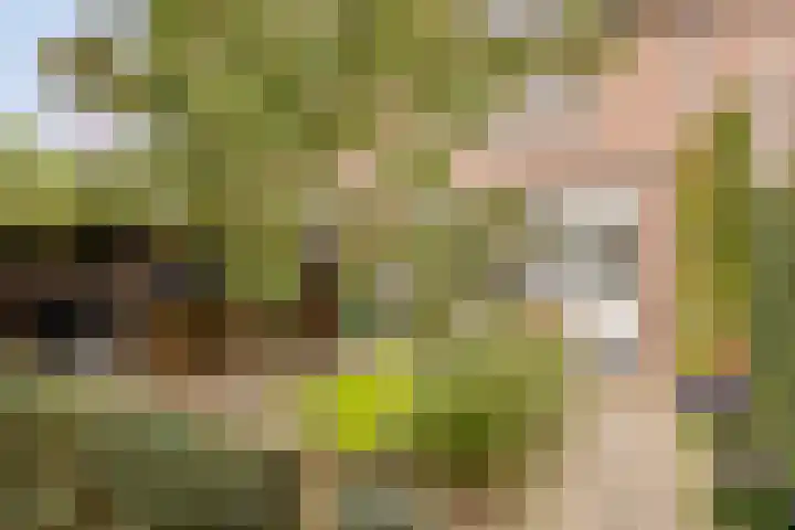 Begijnstraat 21 Veldhoven thumbnail 31