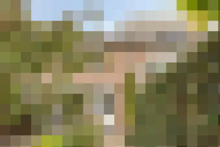 Begijnstraat 21 Veldhoven thumbnail 32