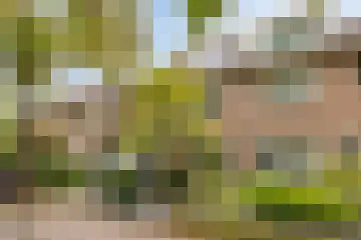 Begijnstraat 21 Veldhoven thumbnail 35