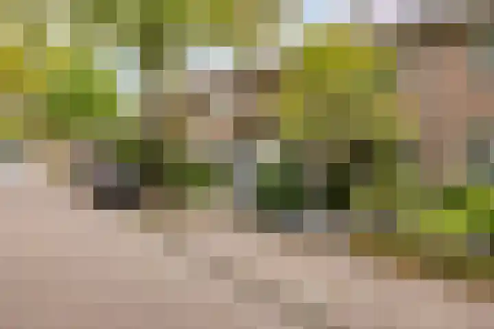 Begijnstraat 21 Veldhoven thumbnail 37