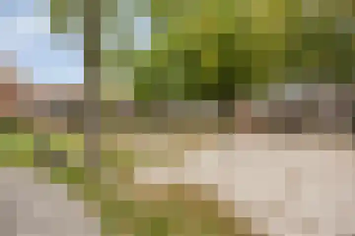 Begijnstraat 21 Veldhoven thumbnail 38