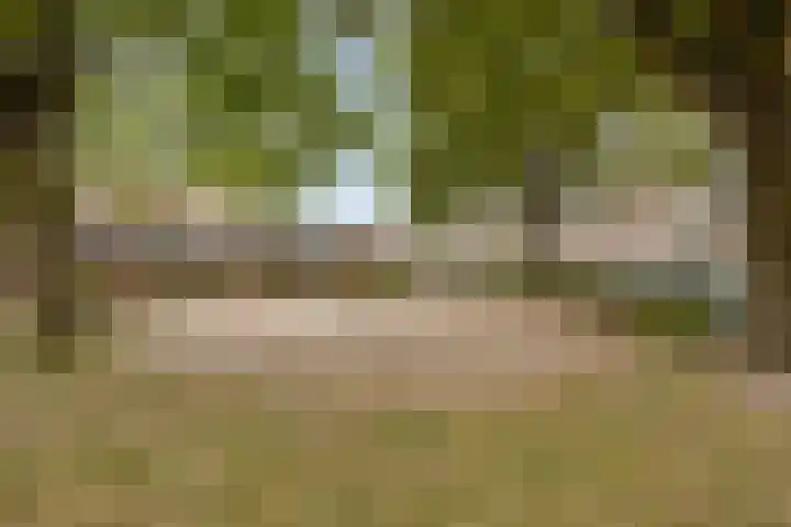 Begijnstraat 21 Veldhoven thumbnail 39