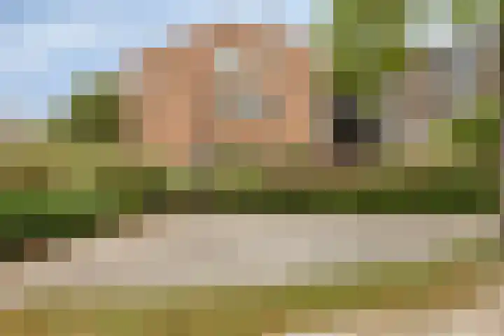 Begijnstraat 21 Veldhoven thumbnail 40