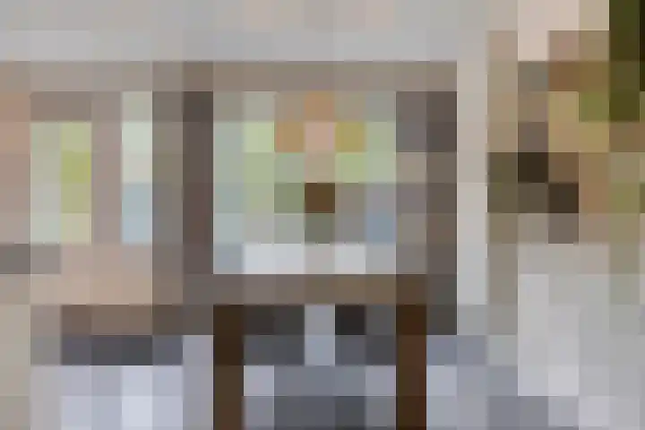 Begijnstraat 21 Veldhoven thumbnail 5