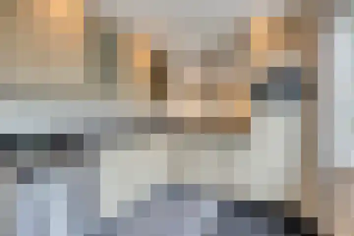 Begijnstraat 21 Veldhoven thumbnail 9