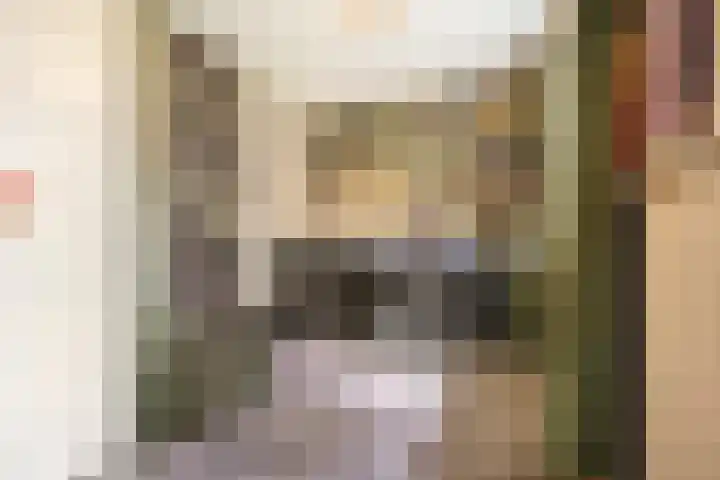 Beginstraat 12 Veenendaal thumbnail 16