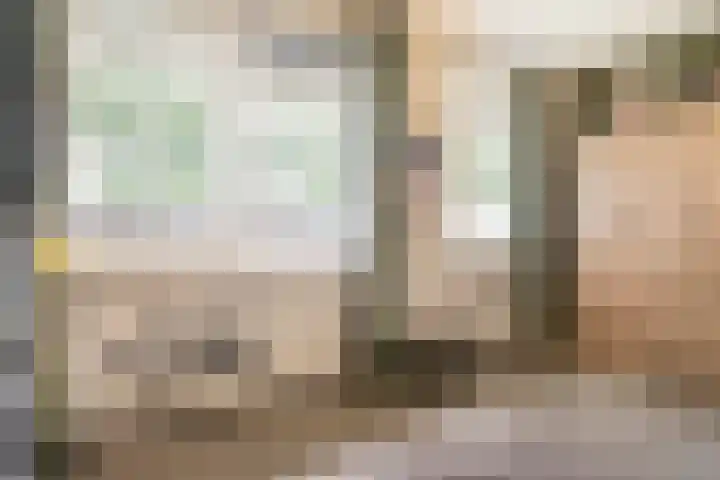 Beginstraat 12 Veenendaal thumbnail 17