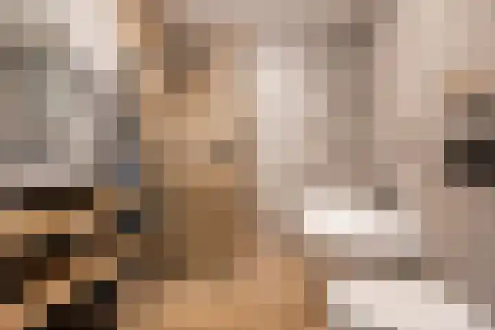 Beginstraat 12 Veenendaal thumbnail 18