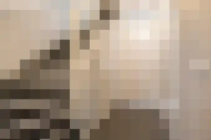 Beginstraat 12 Veenendaal thumbnail 21