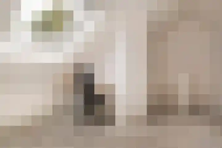 Beginstraat 12 Veenendaal thumbnail 22