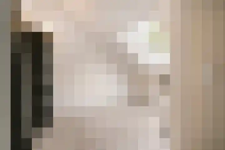 Beginstraat 12 Veenendaal thumbnail 23