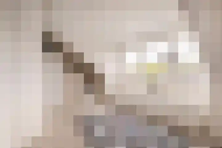 Beginstraat 12 Veenendaal thumbnail 25