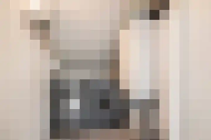 Beginstraat 12 Veenendaal thumbnail 26
