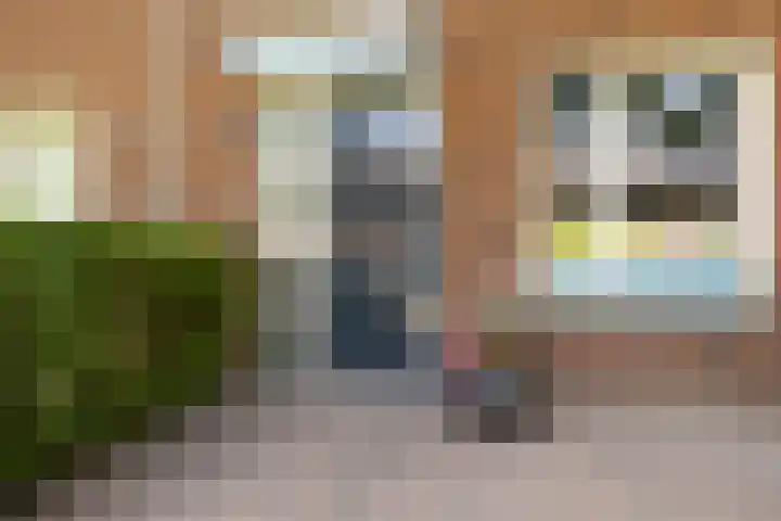 Beginstraat 12 Veenendaal thumbnail 27