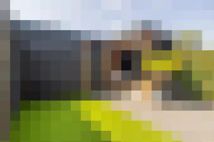 Beginstraat 12 Veenendaal thumbnail 29