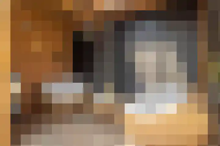 Beginstraat 12 Veenendaal thumbnail 31