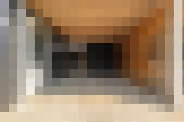 Beginstraat 12 Veenendaal thumbnail 34