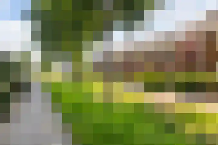 Beginstraat 12 Veenendaal thumbnail 36