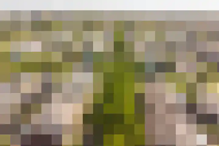 Beginstraat 12 Veenendaal thumbnail 37