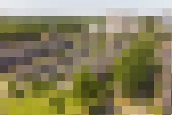 Beginstraat 12 Veenendaal thumbnail 38