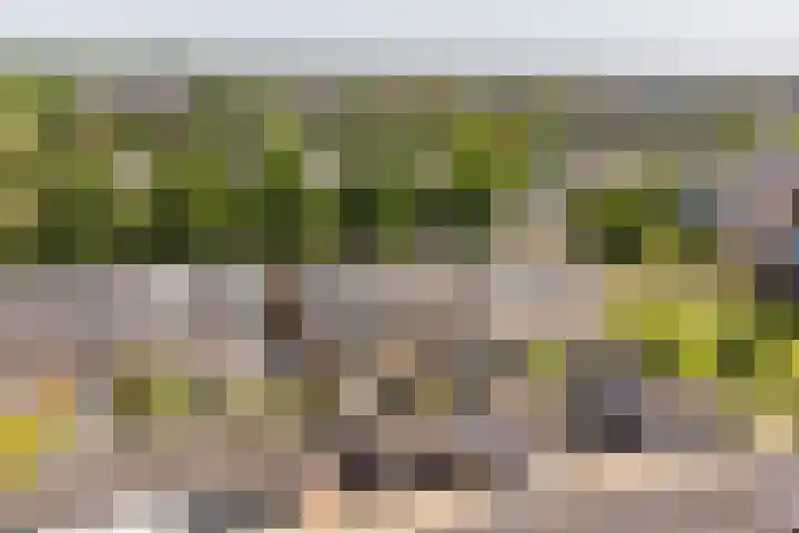 Beginstraat 12 Veenendaal thumbnail 39
