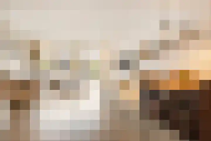 Beginstraat 12 Veenendaal thumbnail 4