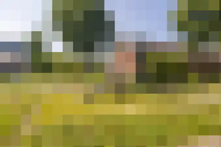 Beginstraat 12 Veenendaal thumbnail 40