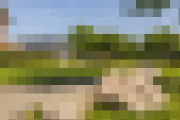 Beginstraat 12 Veenendaal thumbnail 41