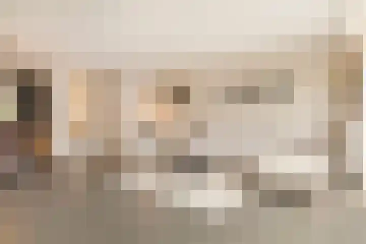 Beginstraat 12 Veenendaal thumbnail 7