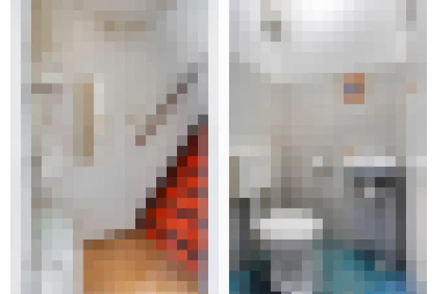 Begoniadal 13 Leiden thumbnail 11