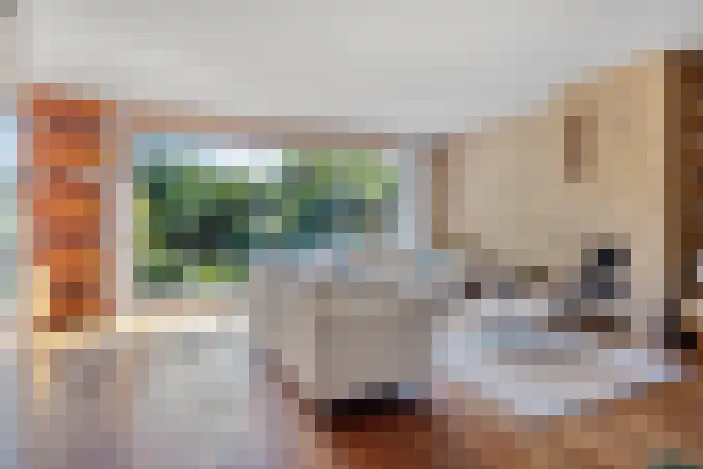 Begoniadal 13 Leiden thumbnail 12