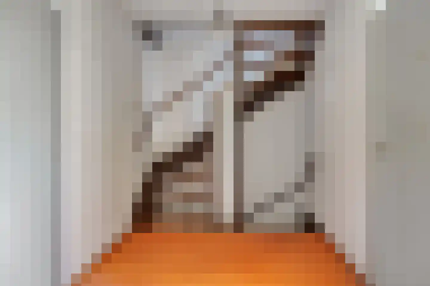 Begoniadal 13 Leiden thumbnail 24