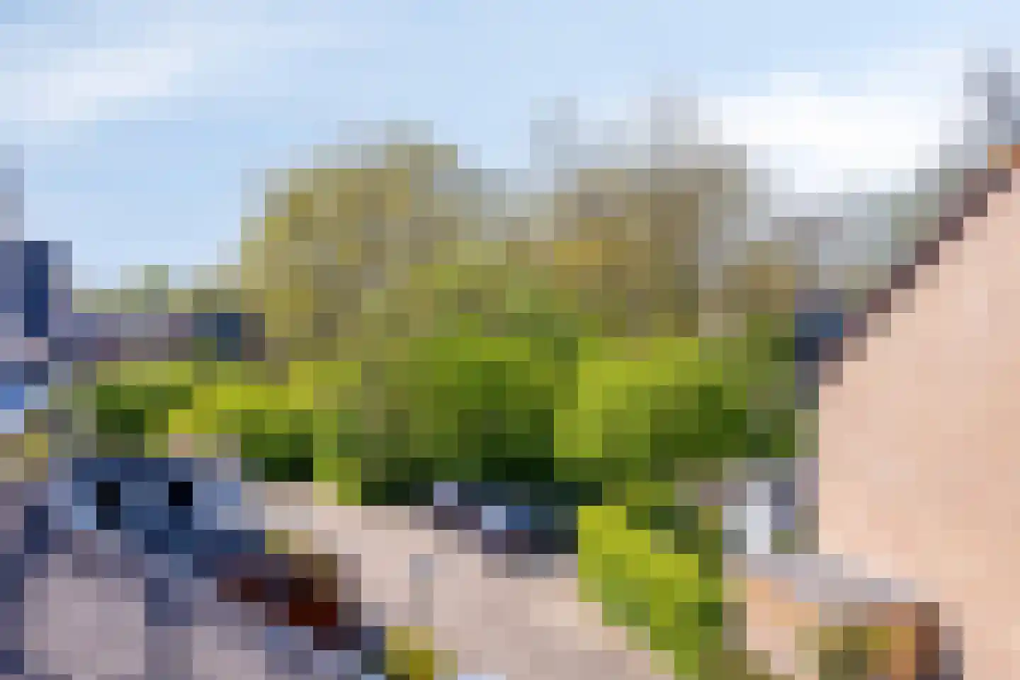 Begoniadal 13 Leiden thumbnail 38