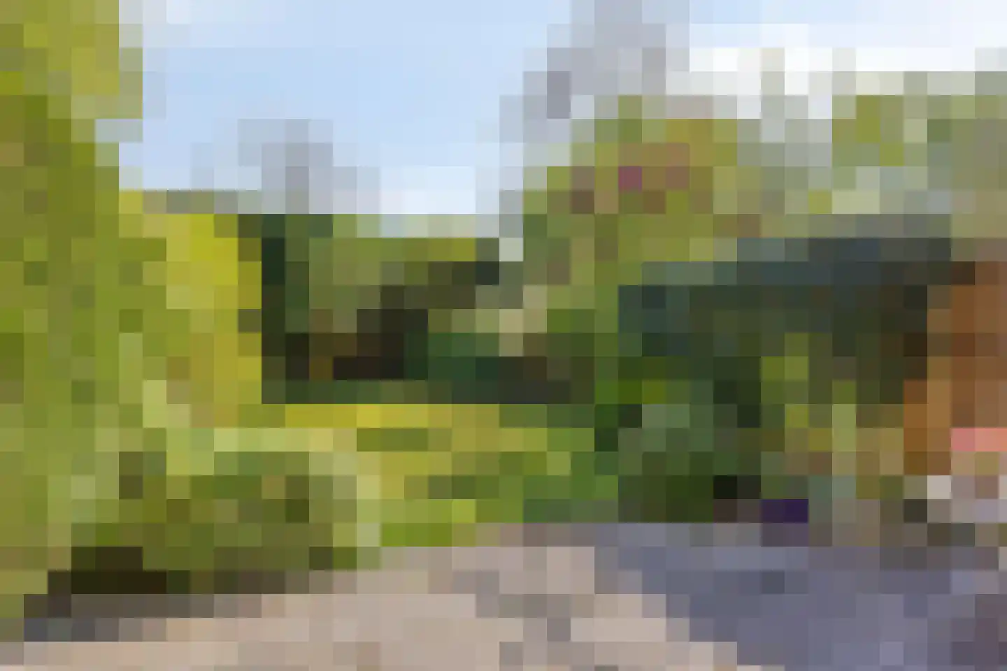 Begoniadal 13 Leiden thumbnail 41