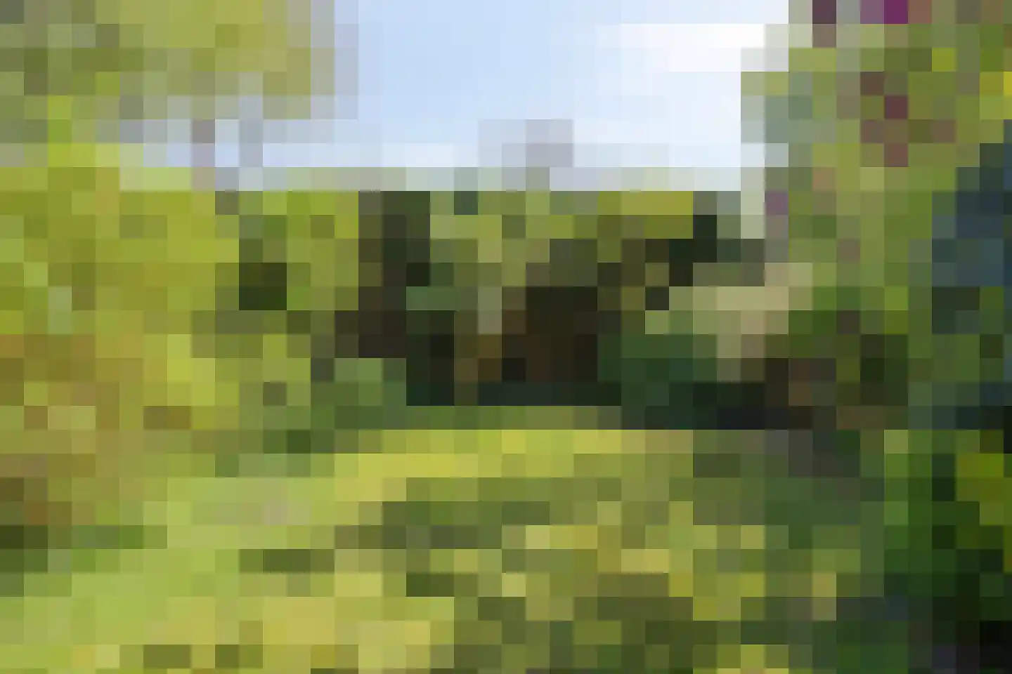 Begoniadal 13 Leiden thumbnail 42
