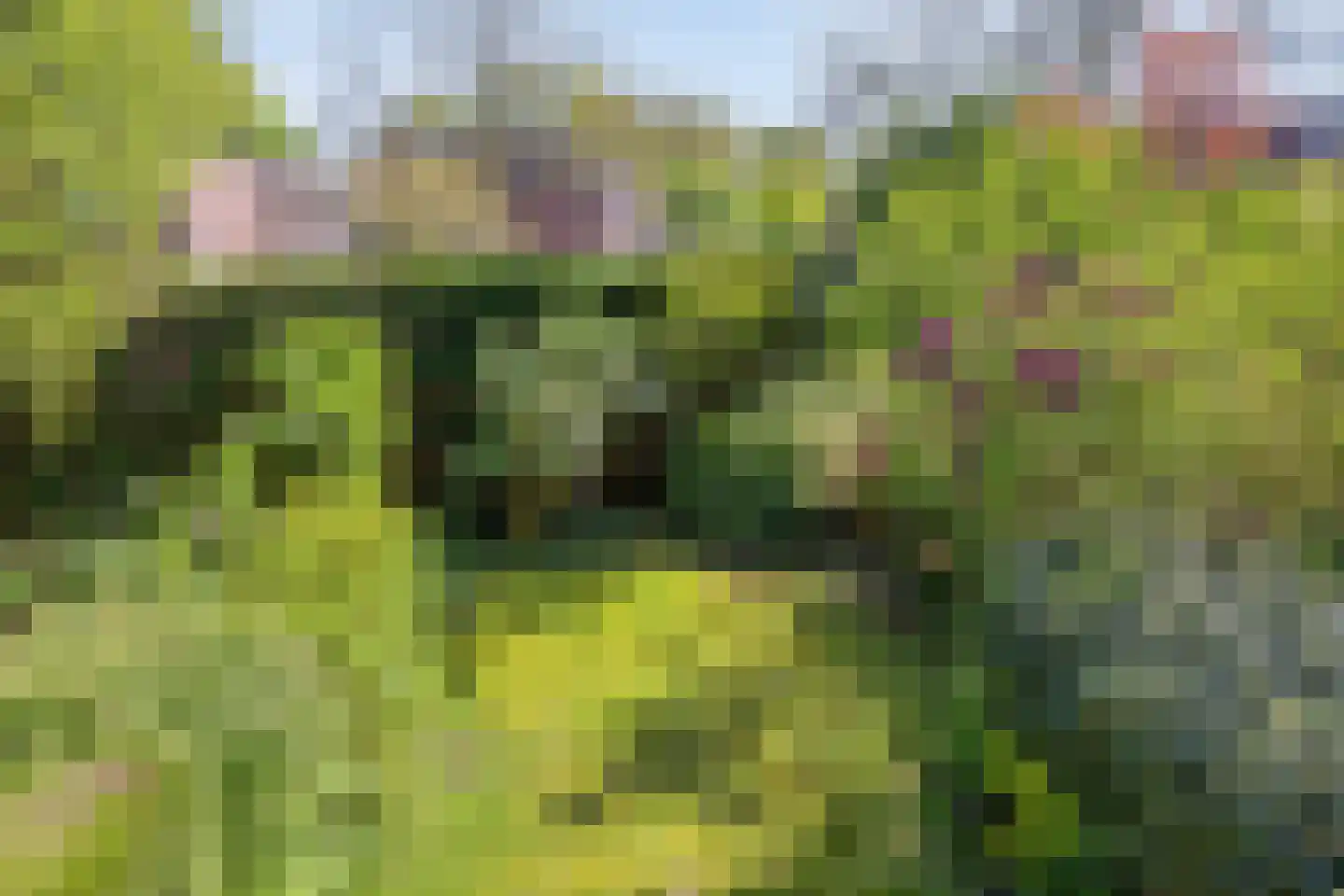 Begoniadal 13 Leiden thumbnail 43