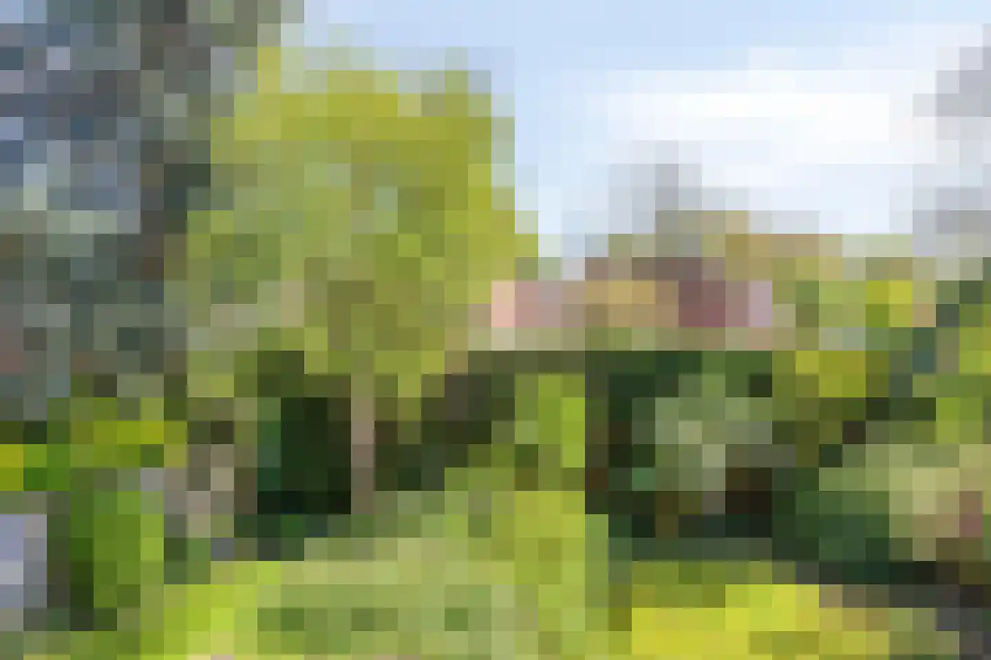 Begoniadal 13 Leiden thumbnail 44