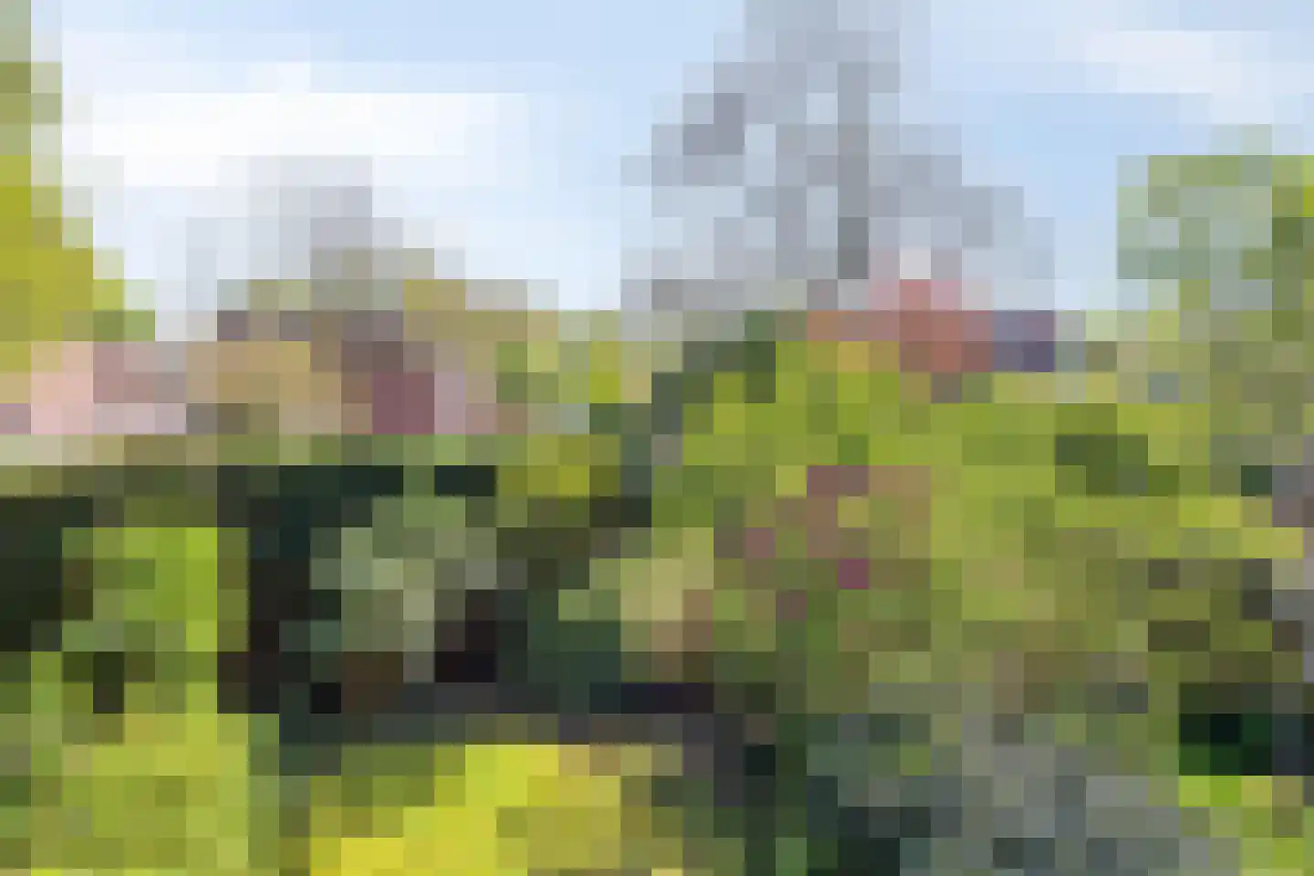 Begoniadal 13 Leiden thumbnail 45