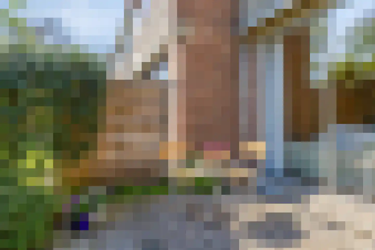 Begoniadal 13 Leiden thumbnail 46